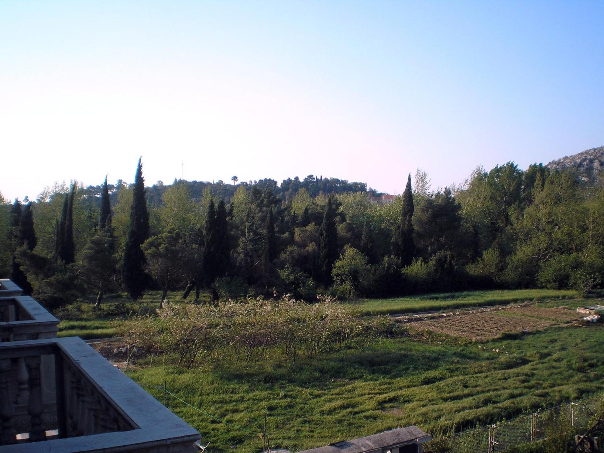 Guest house Francesca 3*